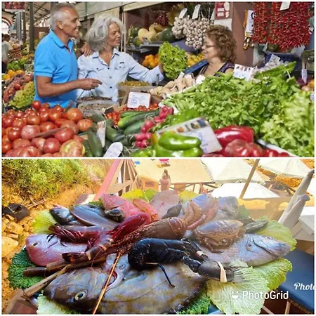 Appartement Stylish With View Da Rocha